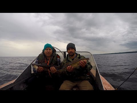 ловля сома в ладожском озере ловля сома в ладожском озере