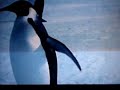 penguins-very-funny.html