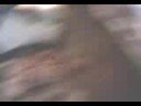 autopsia autopsia