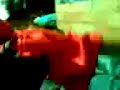 osito malo vs spiderman
