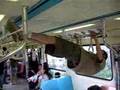 videos de 捷運車廂倒吊伏地挺身