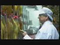 El Pozo Alimentaci�n