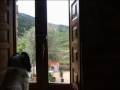 Casa Don Luis. Algo mas que Turismo Rural