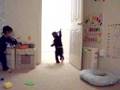 双子のめめとささ　めめ走り