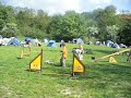 agility ( na cvi?�ku v Komo?anech - 2008 )