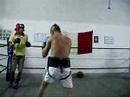 Boxing sparring Boxing sparring