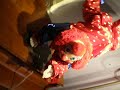 Creegan Mechanical Anitmated Clown