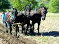 John Deere Horse Drawn Plow