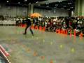 International Freestyle Challenge - Suntec City Singapore
