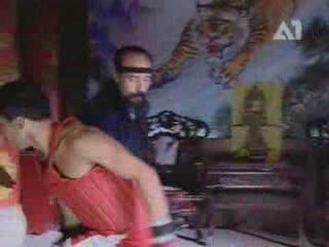 Kung Fu Dragons of Wudang - Taijiquan & Qi Cultivation