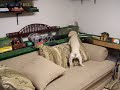 100_1487.MOV