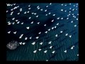 Сочиняй мечты! А МММ-2011 их осуществит!!!