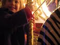 zoolights merry go round
