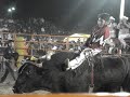 jaripe en Oaxaca