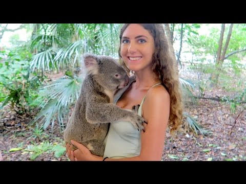 Hanging Out with Koalas, Kangaroos & More // Australia