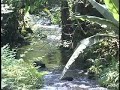 parque nacional de uruapan michoacan mexico