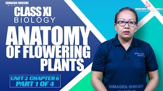 Class XI Biology Unit II Chapter 6  : Anatomy of Flowering Plants (Part 1 of 4)