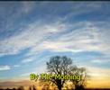 i will rejoice   ps  30:5   serei feliz