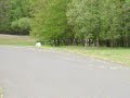 Safarii Zoo Czechy