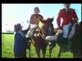 Peteski - Molson Export Million Stakes 1993