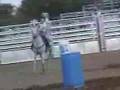 MCHA 06-07-08