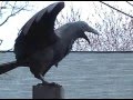 The Edgar Allan Poe House in Philly (3/26/06)