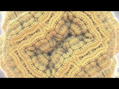 Cosmic Carousel