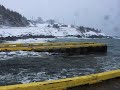Newfie Spring Storm