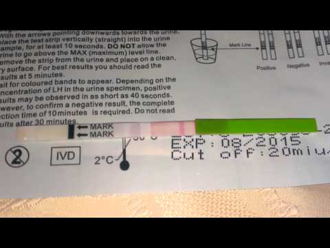 Ovulationstest Anleitung und Tipps