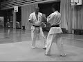 ZADO Seiken-zuki