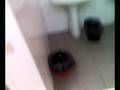 videos de Gavettone a scuola