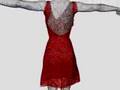 Reacter of clothes --- evening dress