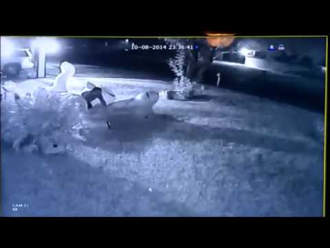 YouTube: Sí, los ladrones también roban gatos inflables
