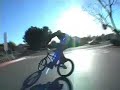 rone animal commercial