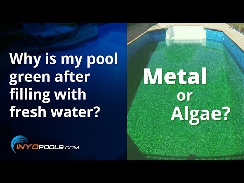 video-linktoworks-Why is my pool green after filling with fresh water?