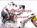Trova il tempo