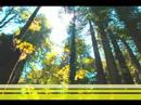 Maritime - Tearing Up the Oxygen