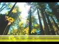 Maritime - Tearing Up the Oxygen