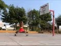 ボール猫動画