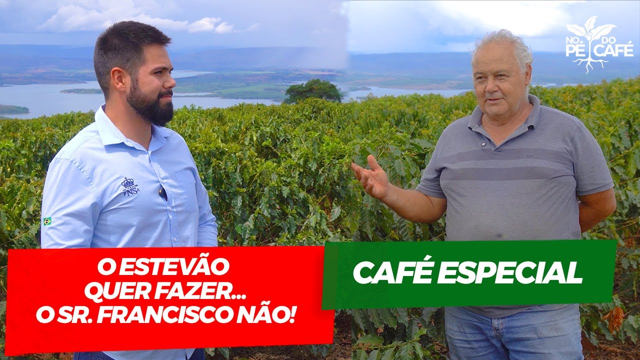 Café especial!Porque o filho quer e o pai não! Conheça a linda fazenda N.S Aparecida| No Pé do Café