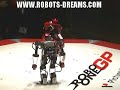 ROBO-ONE Gran Prix 2007 - Retro vs. King Kizer