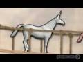 videos de Charlie The Unicorn