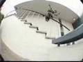 Danny Gonzalez.  Transworld The Reason
