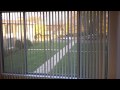 G & S Manor Apartments - Two Bedroom Inside Virtual Tour