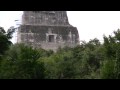 The Possibility of Everything BOOK TRAILER
