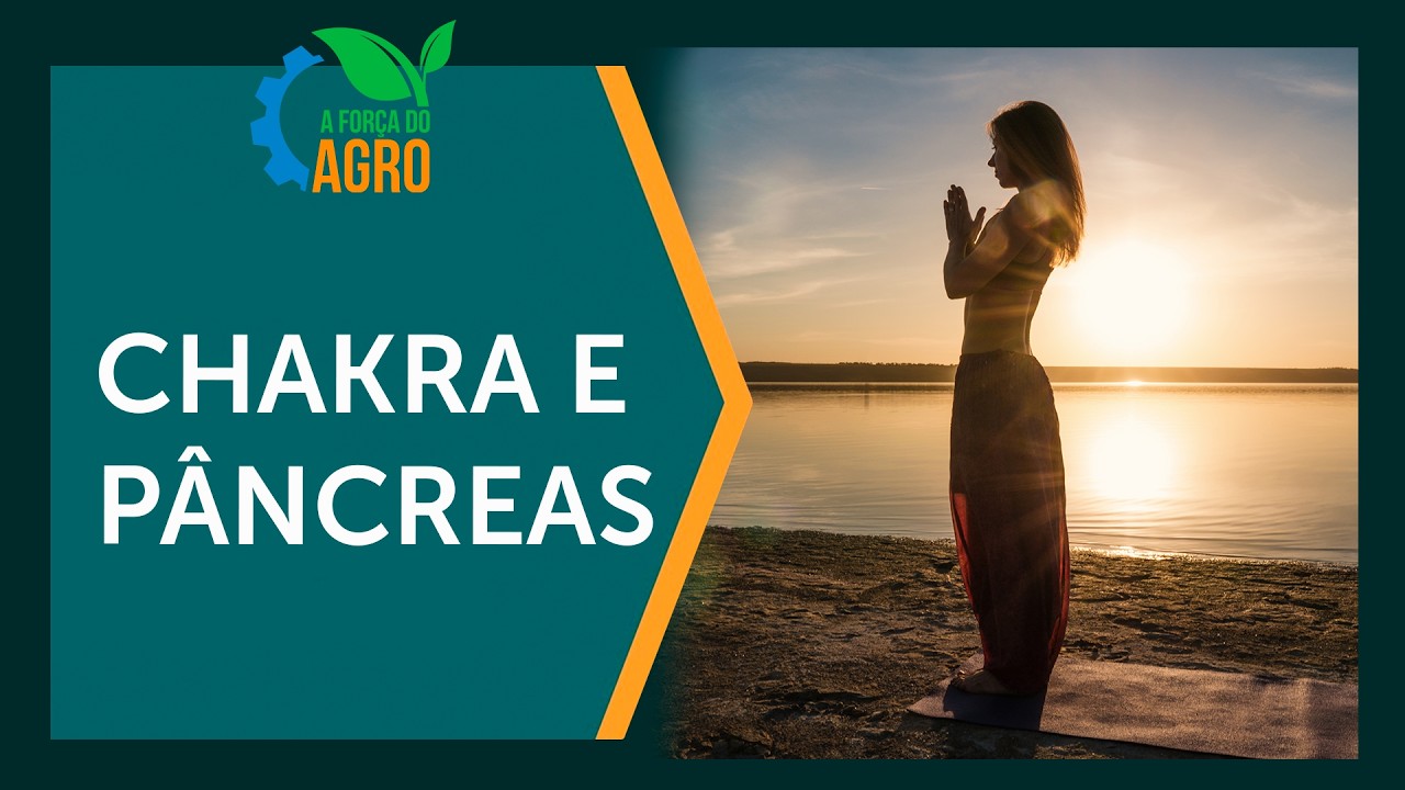 O segredo do seu bem-estar está no chakra que você não conhece  |  AFA, com Joice Maffezzolli