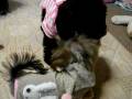 videos de MARE姉ちゃん一緒に遊ぼうよ