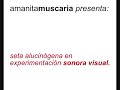 liveset. experimentacion audiovisual 21/10 22:00 espacio 73