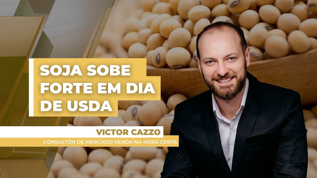 Soja supera números do USDA e sobe mais de 1% na Bolsa de Chicago, mas dólar neutraliza parte dos...