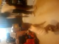 video-2009-09-23-18-14-09